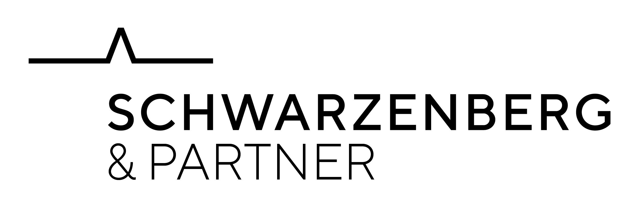 Schwarzenberg & Partner